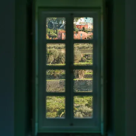 Olivos Апартаменты Санта-Брихида