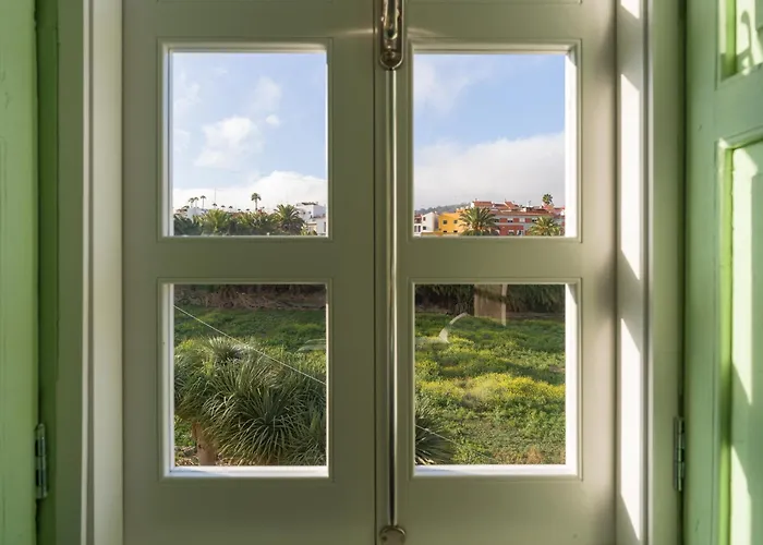 Olivos Santa Brígida