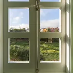 Olivos Santa Brígida