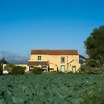 Olivos