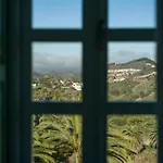 Olivos