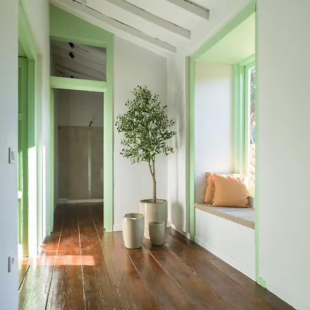 Olivos Apartmán Santa Brígida