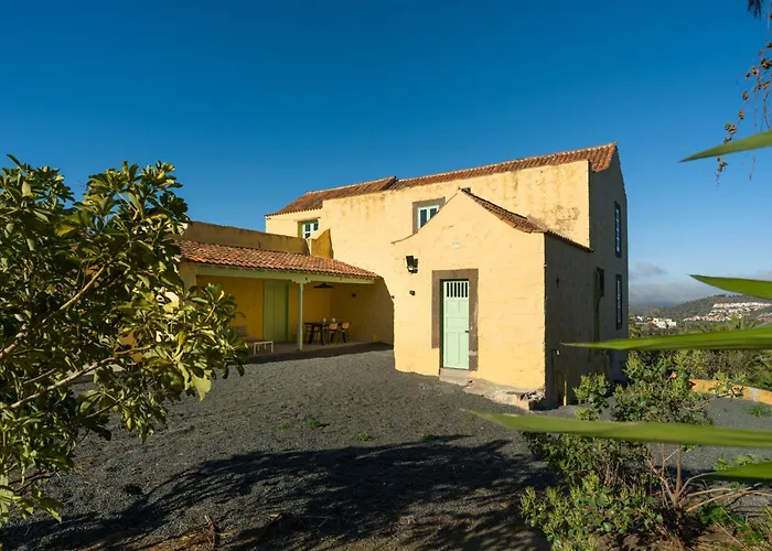 Olivos * Santa Brígida