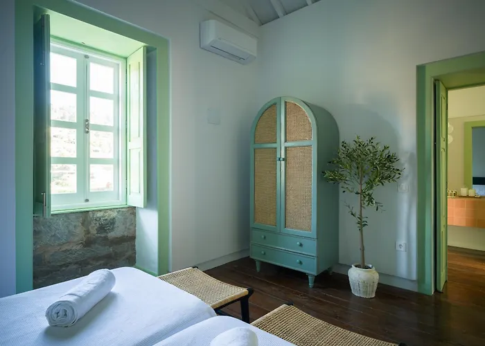 Olivos * Santa Brígida