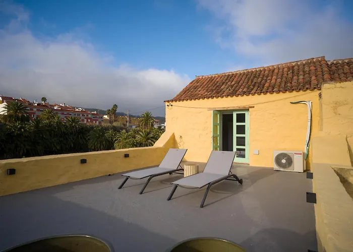 Olivos * Santa Brígida