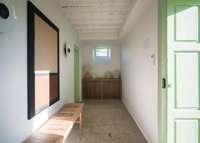 Olivos Santa Brígida