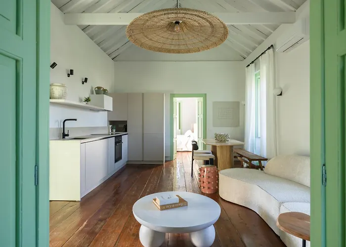 Olivos * Santa Brígida