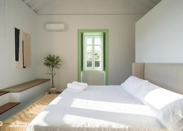 Olivos Santa Brígida