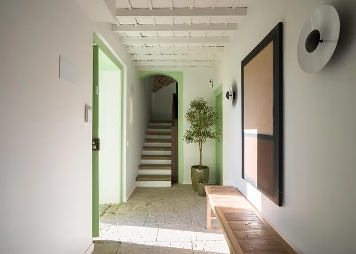 Olivos * Santa Brígida