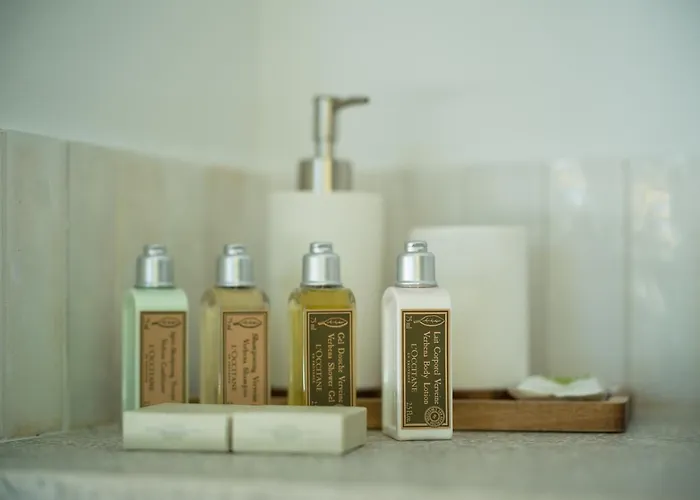 Olivos * Santa Brígida