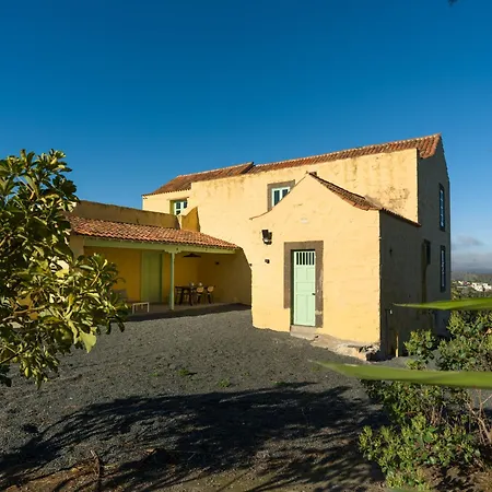 Olivos * Santa Brígida